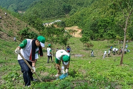 ha noi phat dong phong trao thi dua dac biet phat trien lam nghiep ben vung