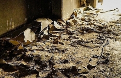 vu chay chung cu carina de nghi truy to nguyen giam doc cong ty hung thanh