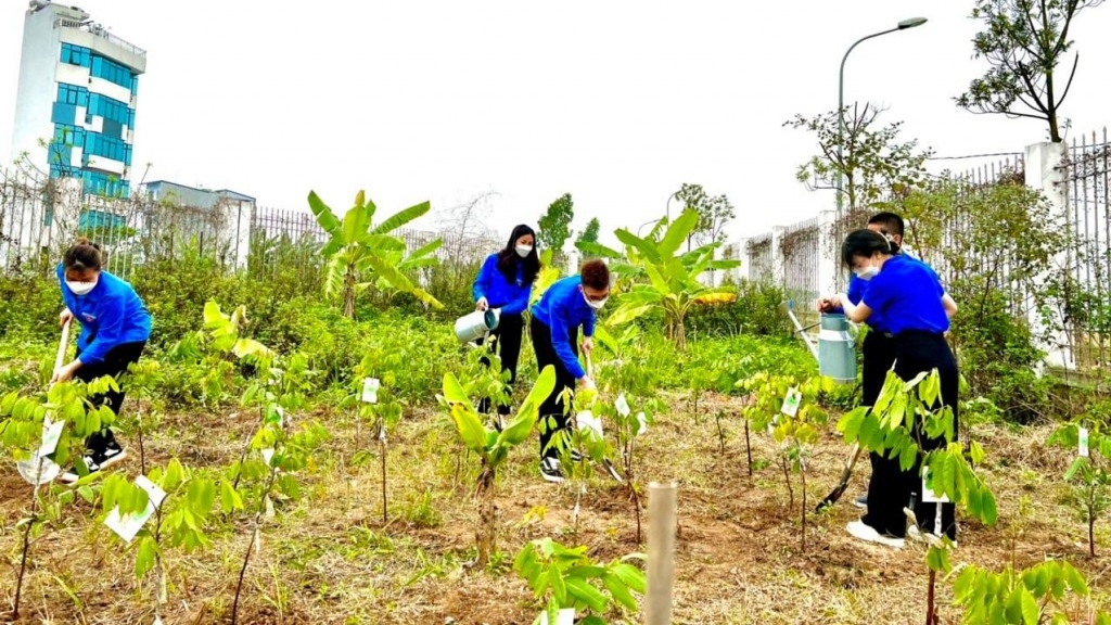 Công trình vườn ươm thanh niên của tuổi trẻ quận Hà Đông 
