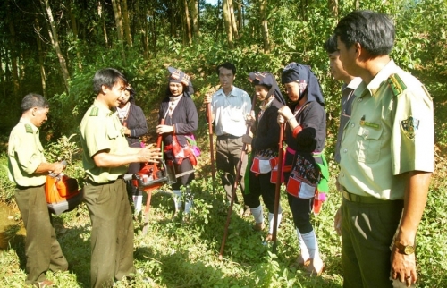 Hà Nội lên phương án quản lý, bảo vệ rừng