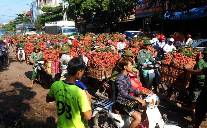 Tháo gỡ khó khăn cho tiêu thụ, vận chuyển nông sản trong bối cảnh dịch Covid-19