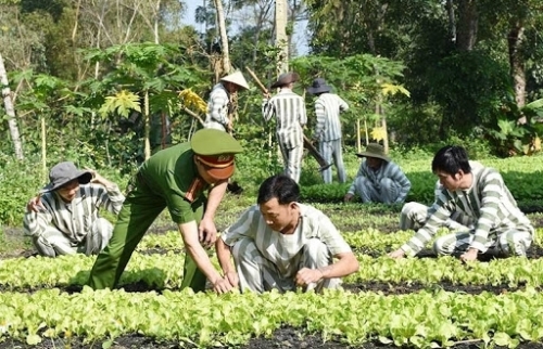 Người chấp hành xong hình phạt tù có thể được vay vốn tại Ngân hàng Chính sách xã hội