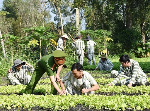 Người chấp hành xong hình phạt tù có thể được vay vốn tại Ngân hàng chính sách xã hội