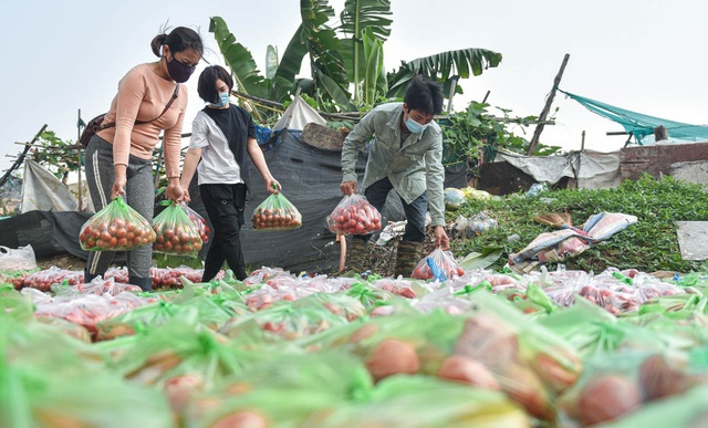 Hà Nội trưng dụng 5 địa điểm làm nơi tập kết nông sản, hàng hóa thiết yếu phục vụ chống dịch