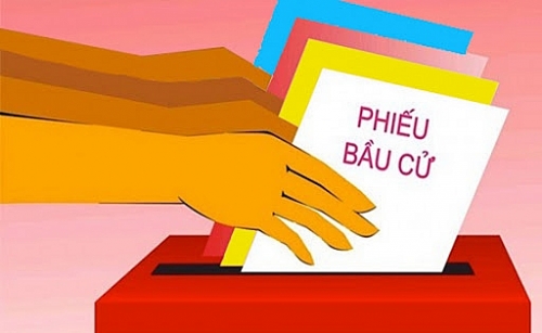 Việc bỏ phiếu được thực hiện như thế nào?