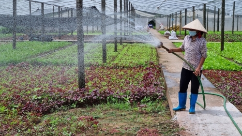 Hà Nội: Hỗ trợ, kết nối tiêu thụ nông sản và thực phẩm từ Vùng 2, Vùng 3 vào Vùng 1