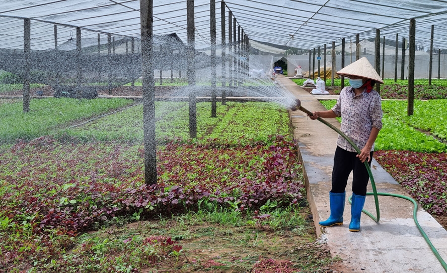 Hà Nội: Hỗ trợ, kết nối tiêu thụ nông sản và thực phẩm từ Vùng 2, Vùng 3 vào Vùng 1