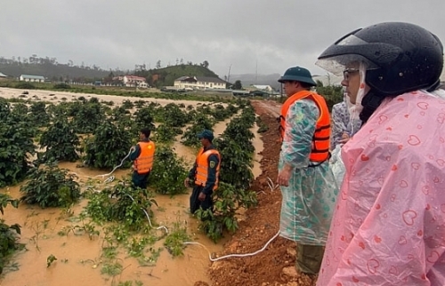 Đảm bảo an toàn cho khách du lịch ở các địa phương có mưa lũ