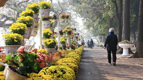 Hà Nội: Trang trí hoa, cây cảnh phục vụ Nhân dân đón Tết Dương lịch
