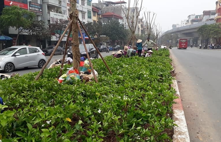 Phường Thịnh Quang thực hiện phong trào vì một đô thị Xanh- Sạch- Đẹp