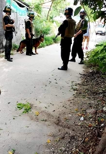 Công an Nghệ An đột kích điểm nuôi nhốt hổ trái phép, phát hiện 17 cá thể Hổ