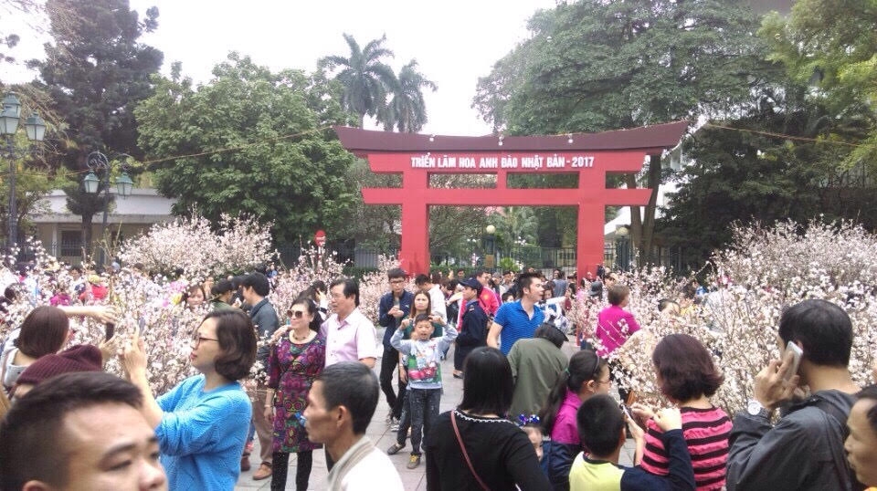 se co hoa hau va cong chua hoa anh dao tham gia le hoi giao luu van hoa nhat ban