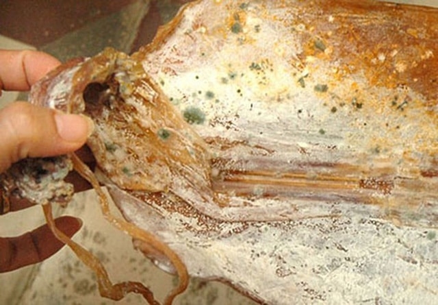 Không nên ăn các thực phẩm khô bị nấm mốc khong nen an cac thuc pham kho bi nam moc