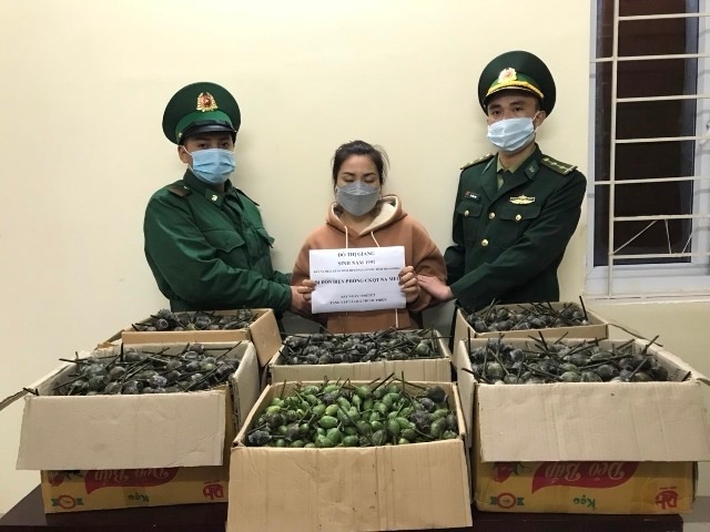Đỗ Thị Giang cùng số tang vật bị bắt