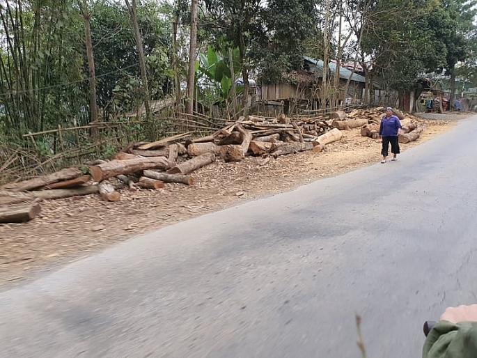 bao dong tinh trang pha rung tai huyen ba thuoc tu nhung con so biet noi