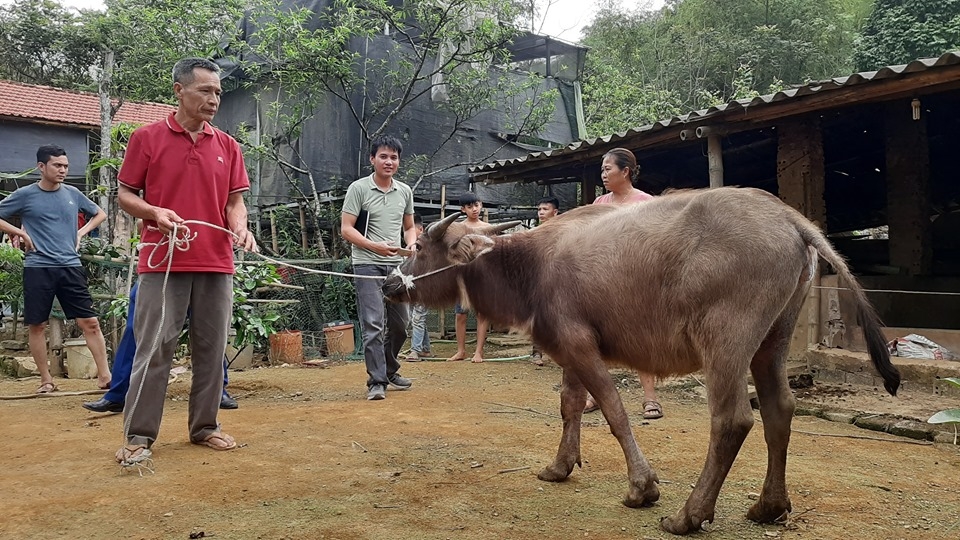 pho chu tich ubnd huyen ba thuoc khang dinh se thanh lap doan kiem tra