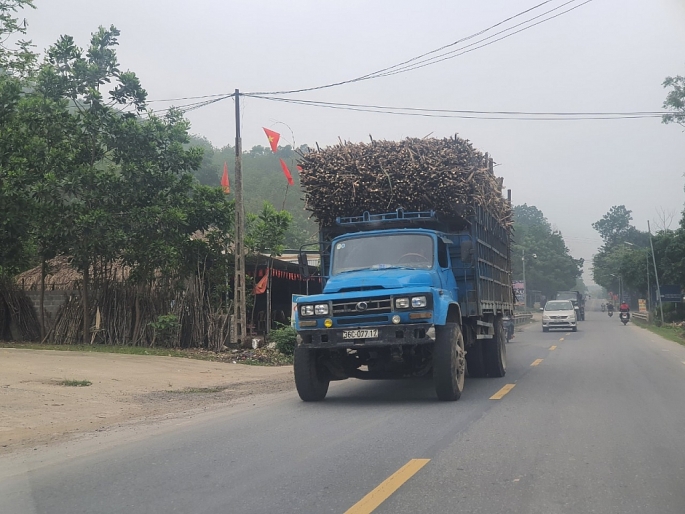 Xe chở mía chất cao quá thành thùng, không được che chắn trông rất nguy hiểm