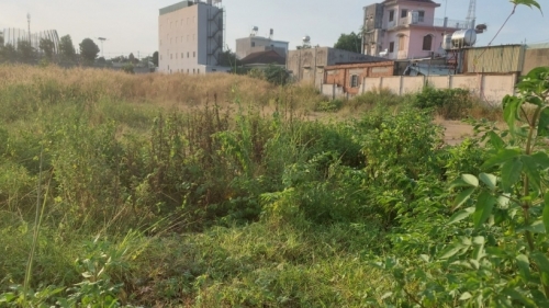 Công ty CP dịch vụ BĐS Đất Xanh thu 50 triệu đồng “phí yêu cầu tư vấn” dự án “trên giấy” Opal City View có đúng luật?