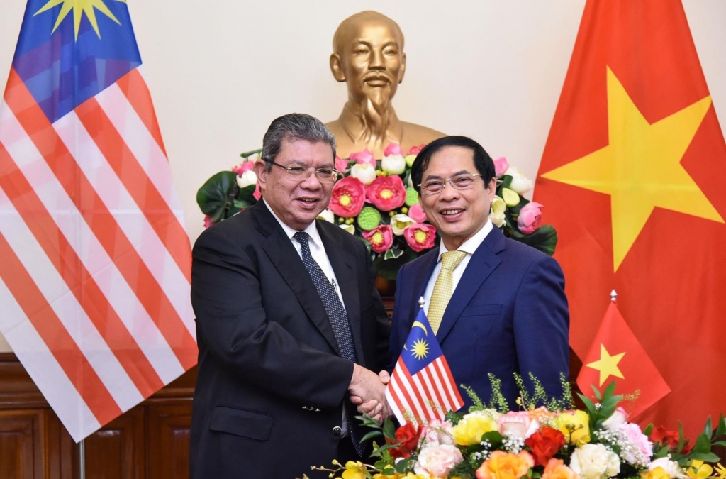 Bộ trưởng Ngoại giao Bùi Thanh Sơn hội đàm với Bộ trưởng Ngoại giao Malaysia