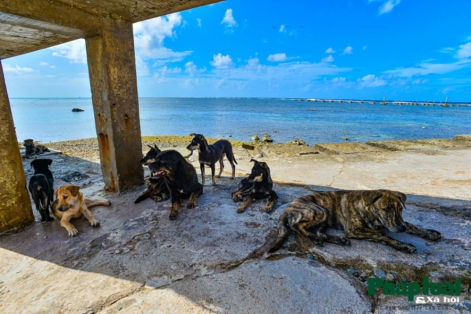 noi don binh minh dau tien cua to quoc