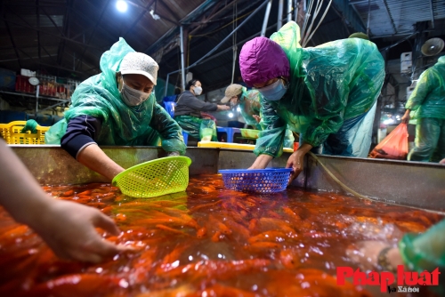 Khám phá khu chợ buôn bán "phương tiện" chầu trời của Táo quân