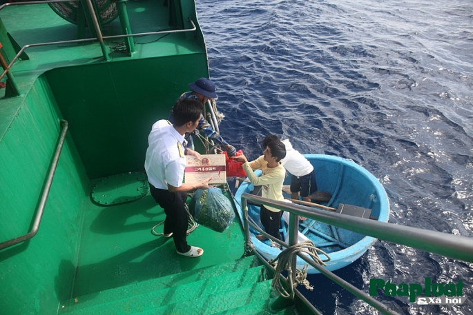 nhung tu mau tren bien ca