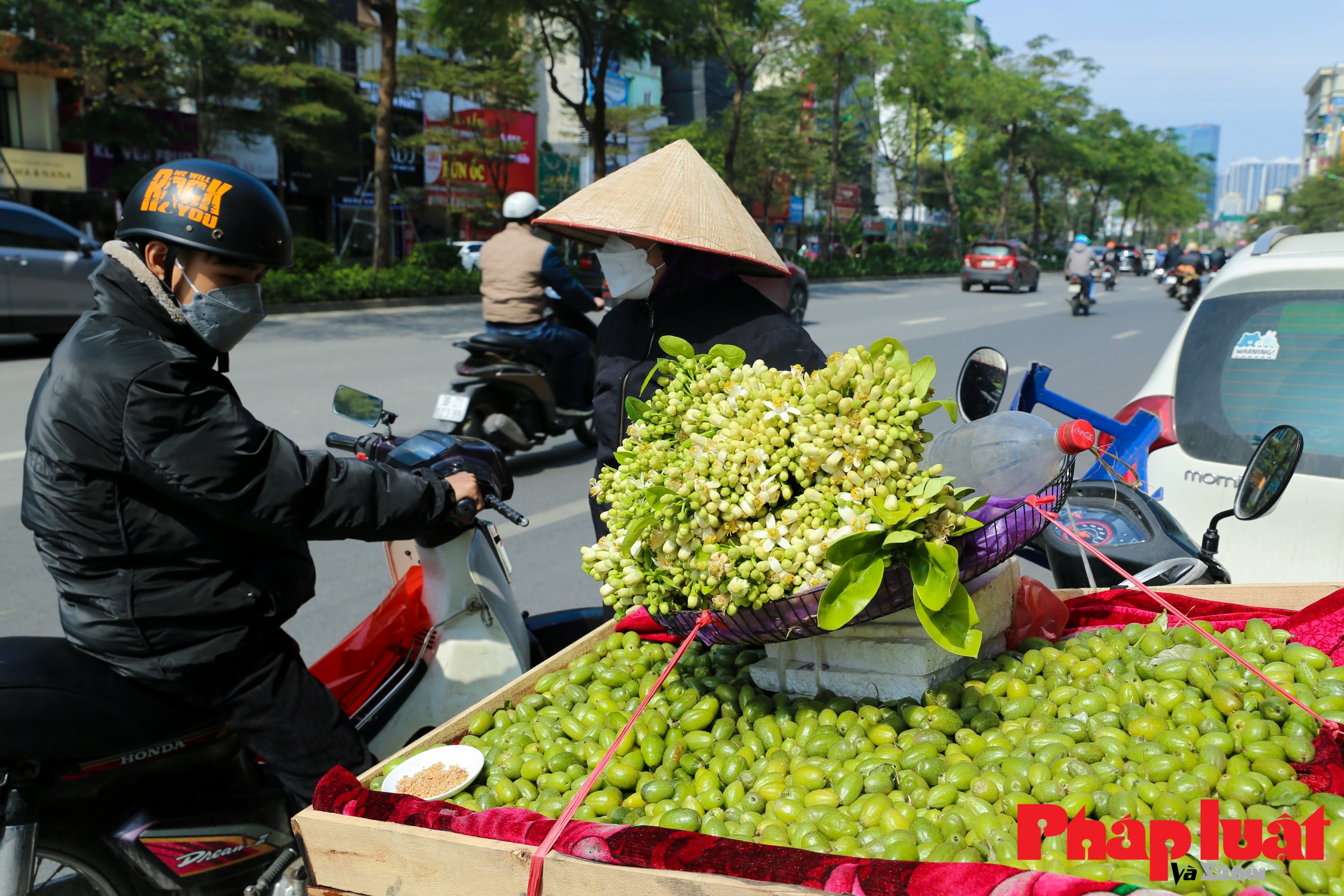 Hà Nội mùa hoa bưởi thơm ngát cả phố phường