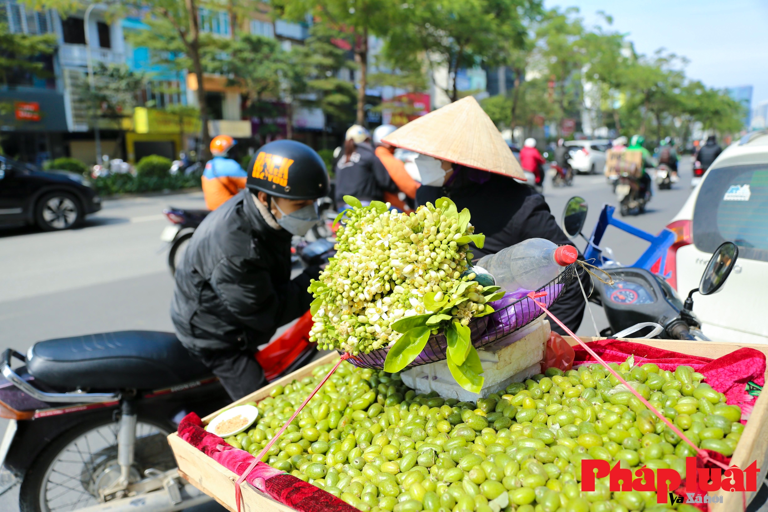 Hà Nội mùa hoa bưởi thơm ngát cả phố phường