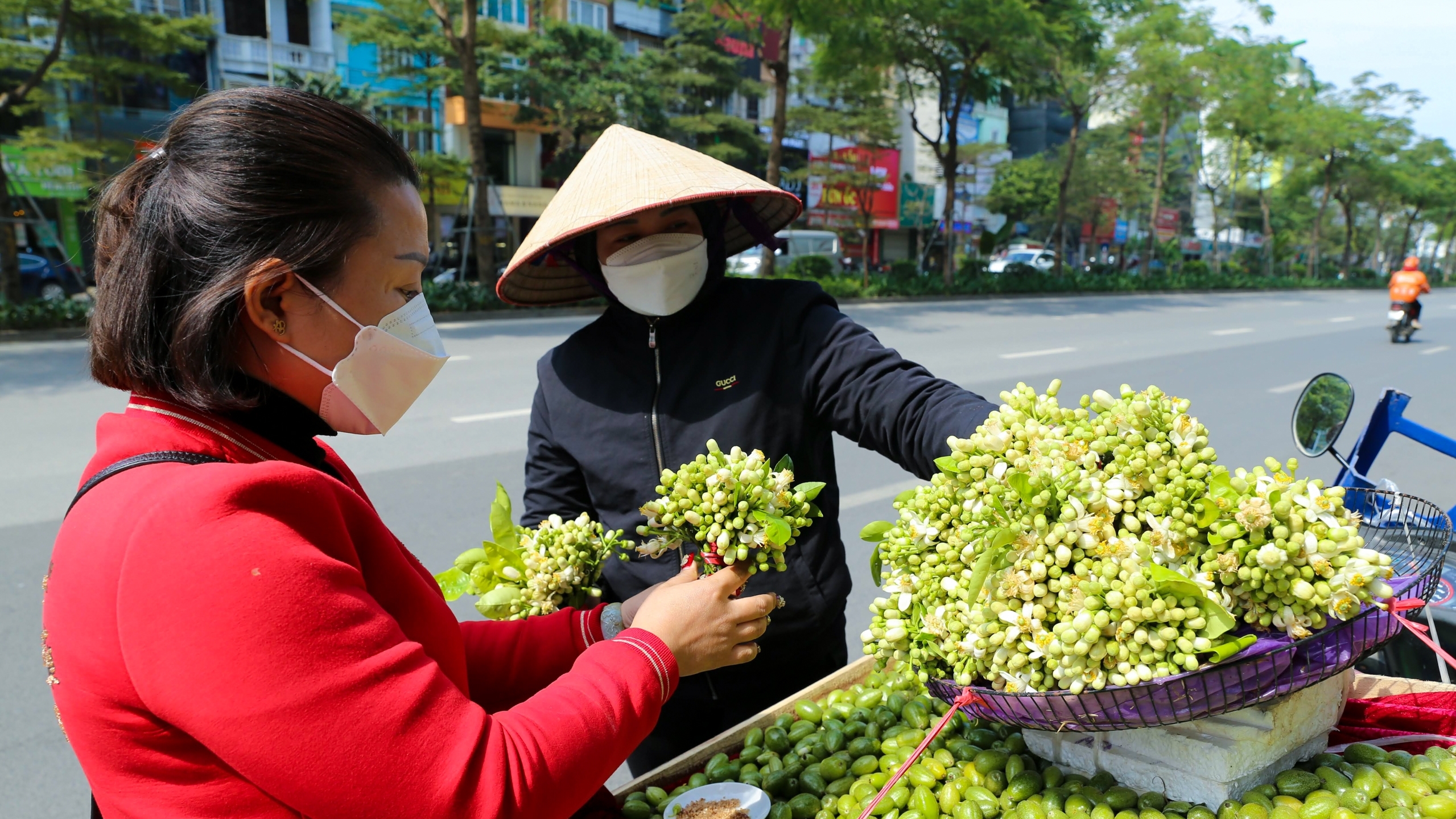 Hà Nội mùa hoa bưởi thơm ngát cả phố phường