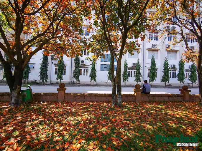 con duong la vang lang man nhu han quoc trong khuon vien dai hoc su pham