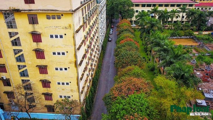 con duong la vang lang man nhu han quoc trong khuon vien dai hoc su pham