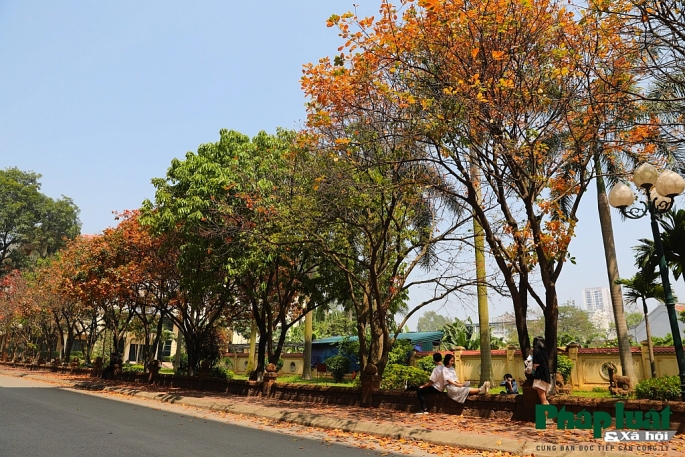 con duong la vang lang man nhu han quoc trong khuon vien dai hoc su pham