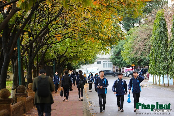 con duong la vang lang man nhu han quoc trong khuon vien dai hoc su pham