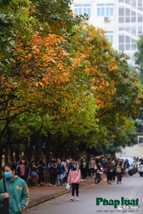 con duong la vang lang man nhu han quoc trong khuon vien dai hoc su pham