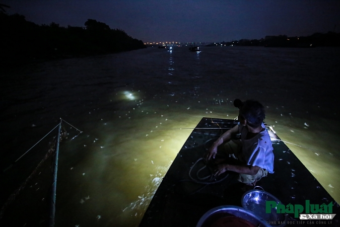 theo chan ngu phu di bat tom bay tren song hong