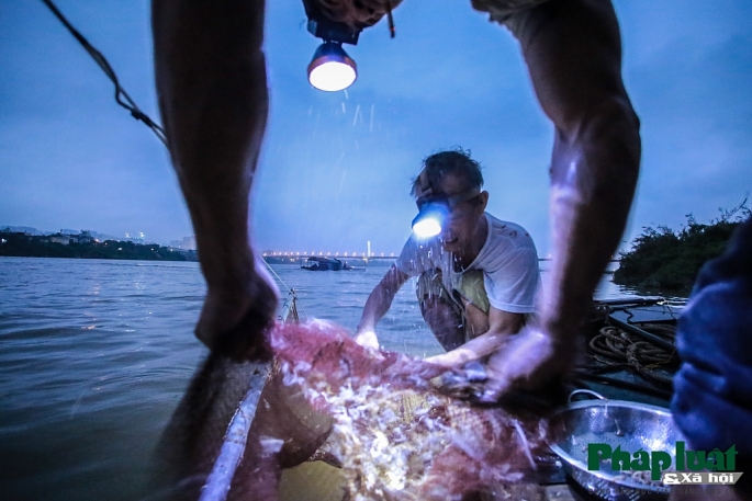 theo chan ngu phu di bat tom bay tren song hong