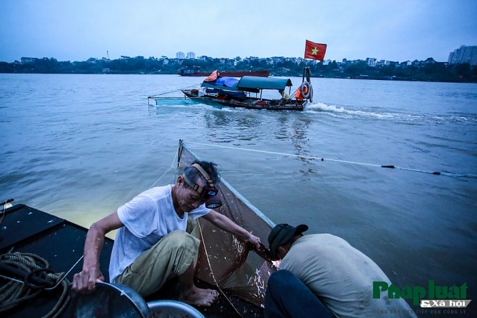 theo chan ngu phu di bat tom bay tren song hong