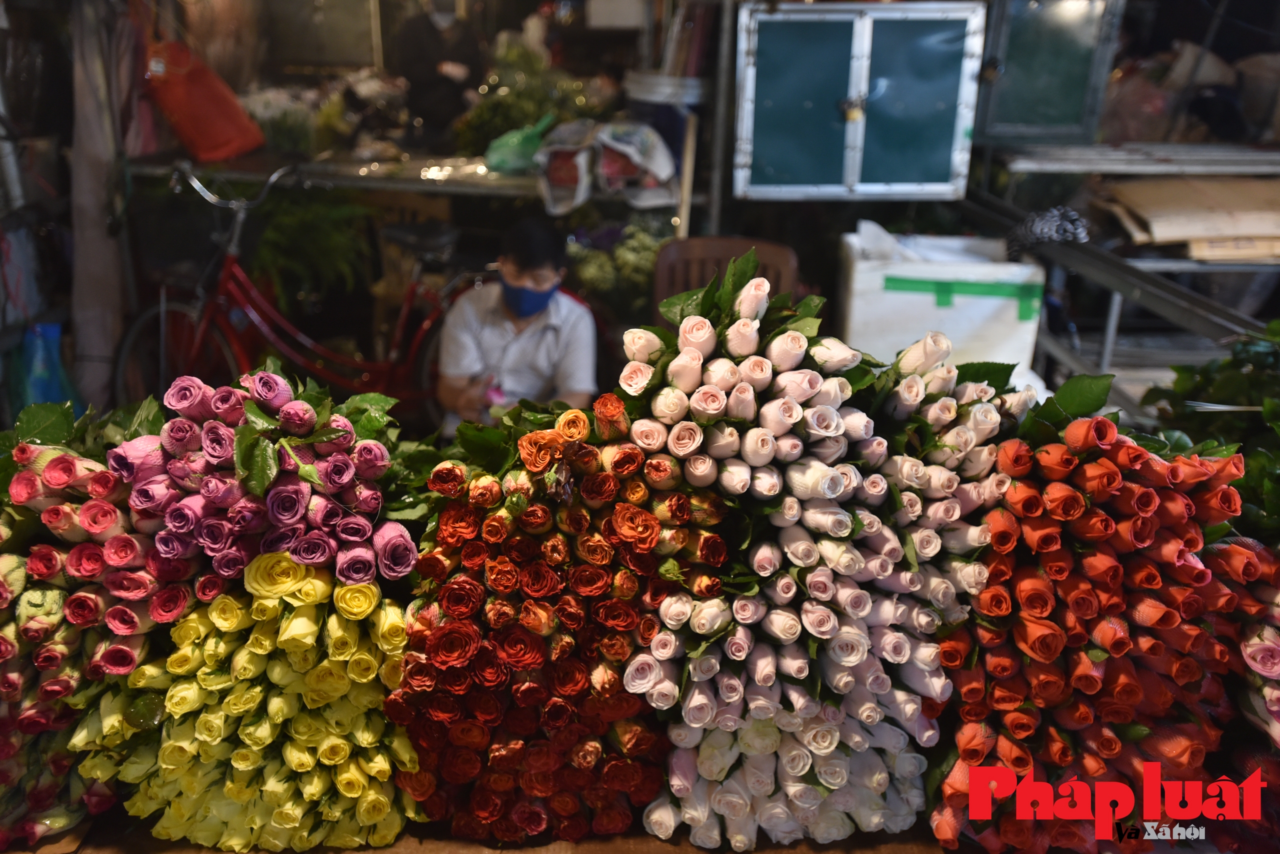 Chợ hoa lớn nhất Hà Nội vắng lặng trong đêm trước ngày 8-3