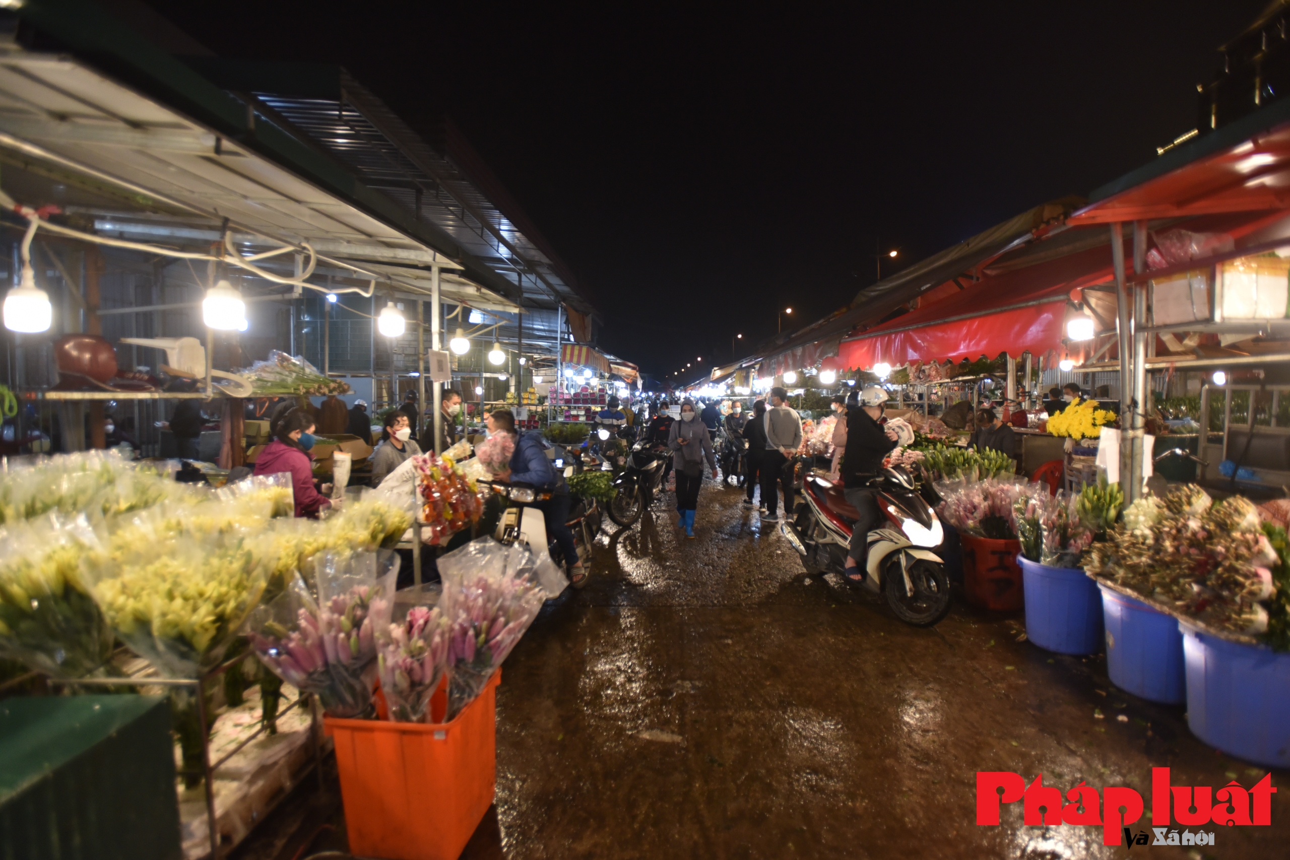 Chợ hoa lớn nhất Hà Nội vắng lặng trong đêm trước ngày 8-3