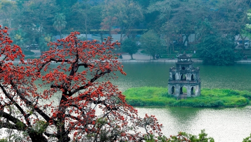 Tháng ba rợp trời hoa gạo đỏ