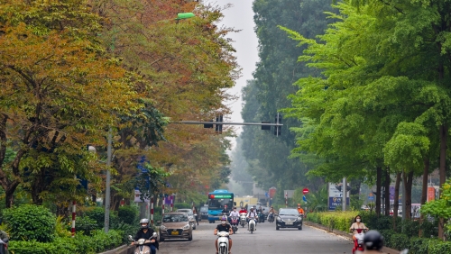 Hà Nội mùa lá mới, mùa các mảng màu của đất trời giao hòa