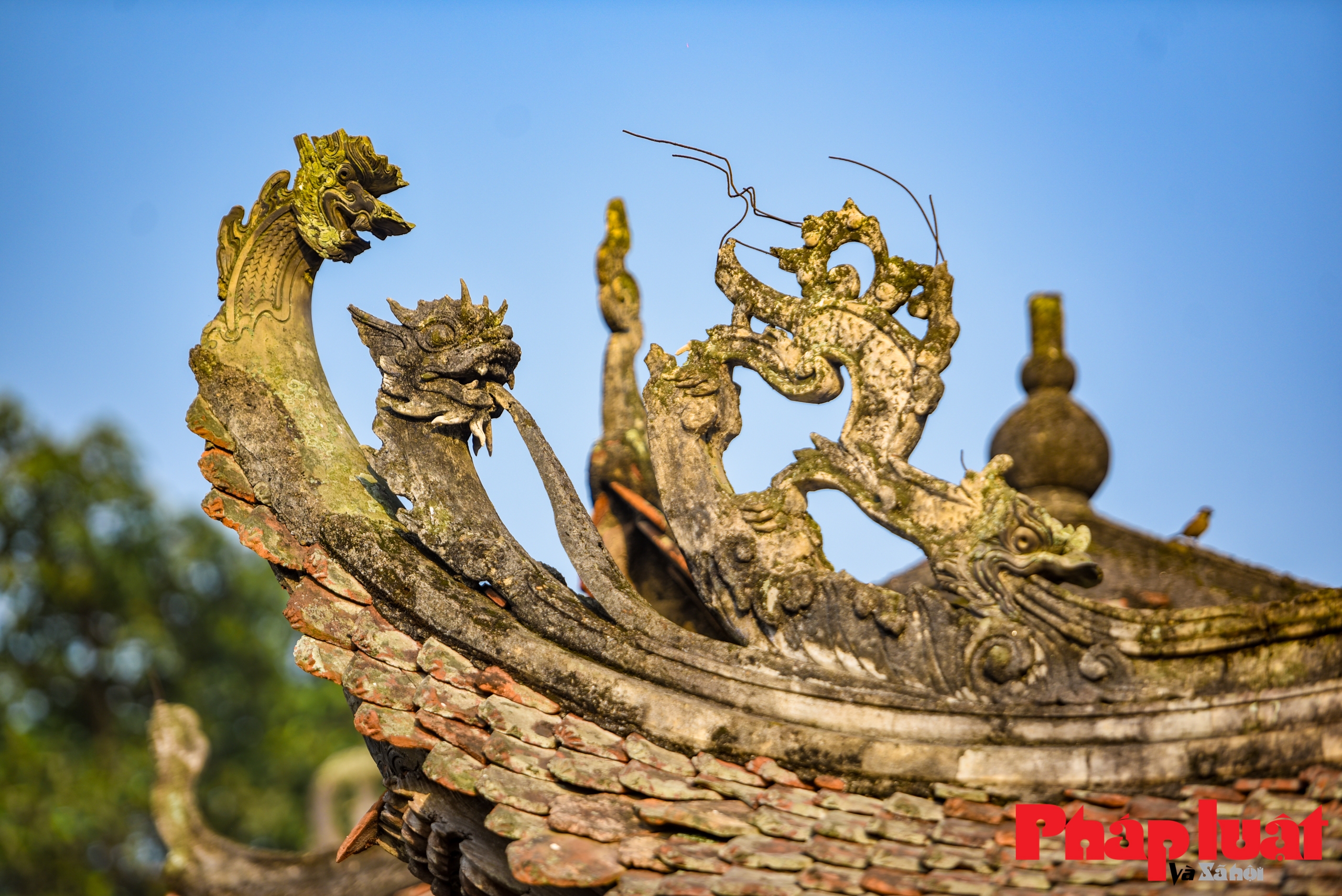 Thăm đình cổ Hùng Lô, biểu tượng của tín ngưỡng thờ cúng Vua Hùng