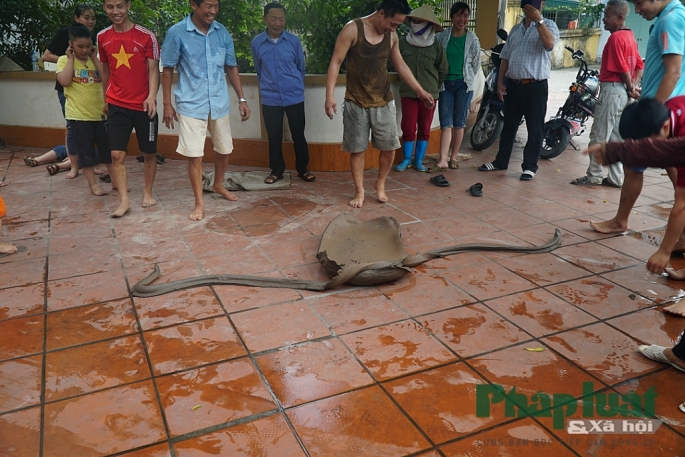 Tìm lại tuổi thơ với trò chơi pháo đất cổ truyền ti m la i tuo i tho vo i tro choi pha o da t co truye n