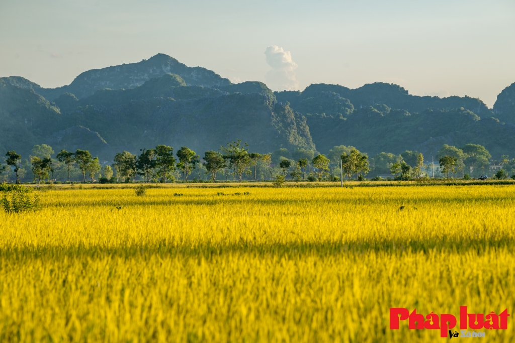 Những hình ảnh đẹp của ngoại thành Hà Nội sẽ khiến bạn muốn khám phá thêm vẻ đẹp của vùng đất này. Quang cảnh mênh mông, những hẻm tối đèn lồng, hay những khu vườn cổ tích sẽ khiến bạn say đắm.
