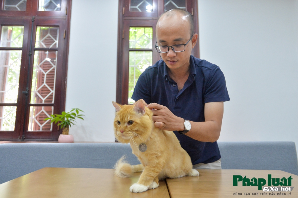 "Căn cước công dân số" dành cho thú cưng đầu tiên tại Việt Nam can cuoc cong dan so danh cho thu cung dau tien tai viet nam