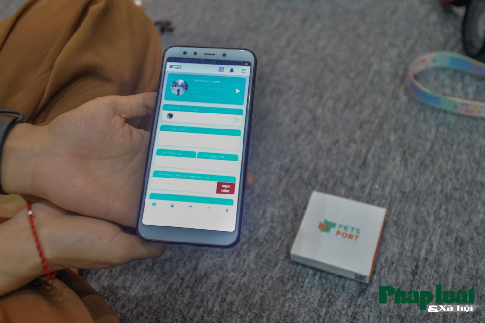 "Căn cước công dân số" dành cho thú cưng đầu tiên tại Việt Nam can cuoc cong dan so danh cho thu cung dau tien tai viet nam