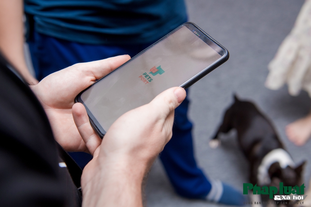 "Căn cước công dân số" dành cho thú cưng đầu tiên tại Việt Nam can cuoc cong dan so danh cho thu cung dau tien tai viet nam