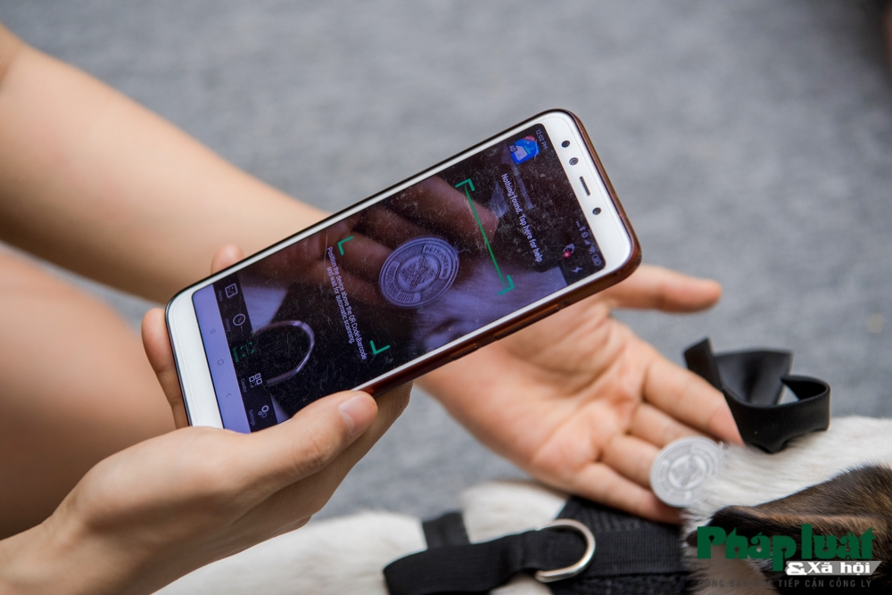 "Căn cước công dân số" dành cho thú cưng đầu tiên tại Việt Nam can cuoc cong dan so danh cho thu cung dau tien tai viet nam