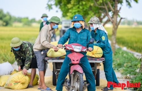 Nghĩa tình trên những cánh đồng ở tâm dịch Bắc Ninh