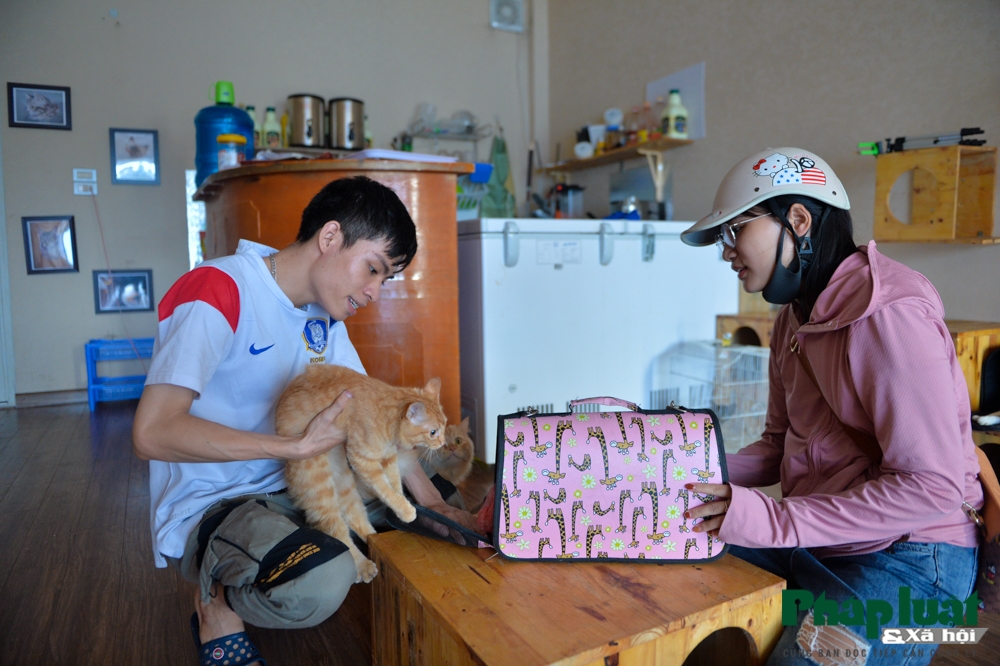 chang trai bo viec de mo quan cafe kiem trung tam cuu tro meo